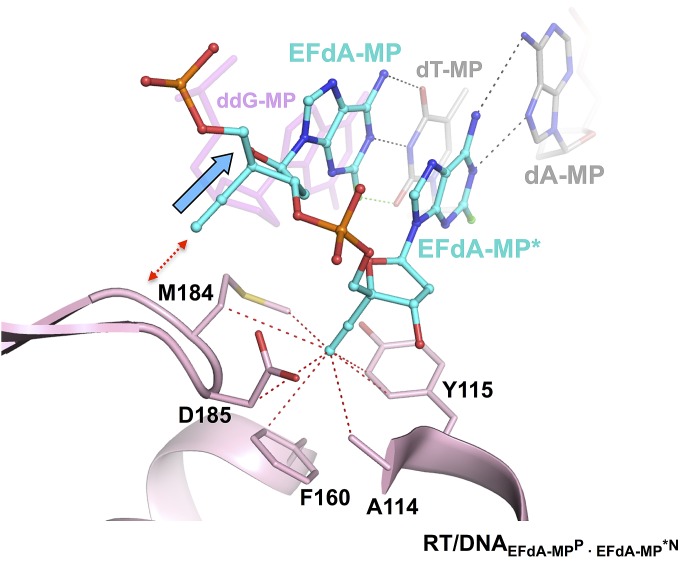 Fig. S7.