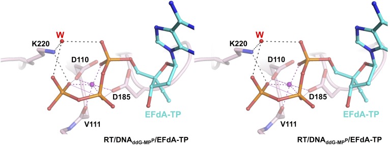 Fig. S3.