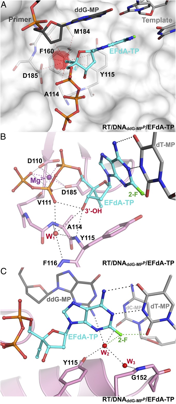 Fig. 4.