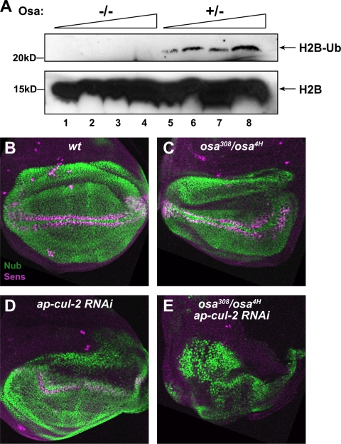 FIG. 7.