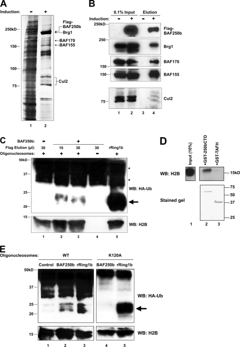 FIG. 5.