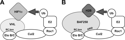 FIG. 8.