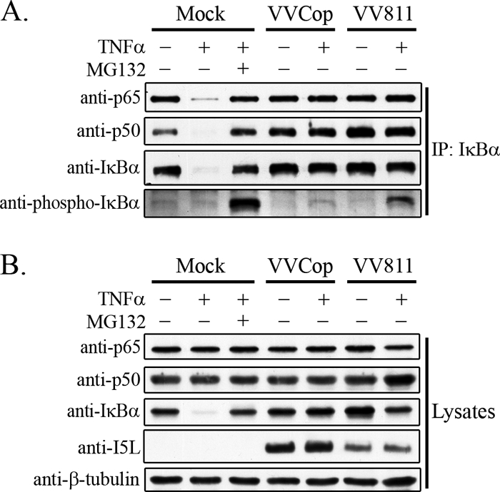 FIG. 8.