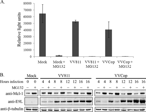 FIG. 7.