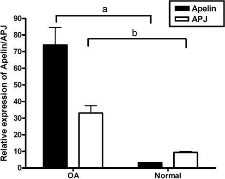 Fig. 4