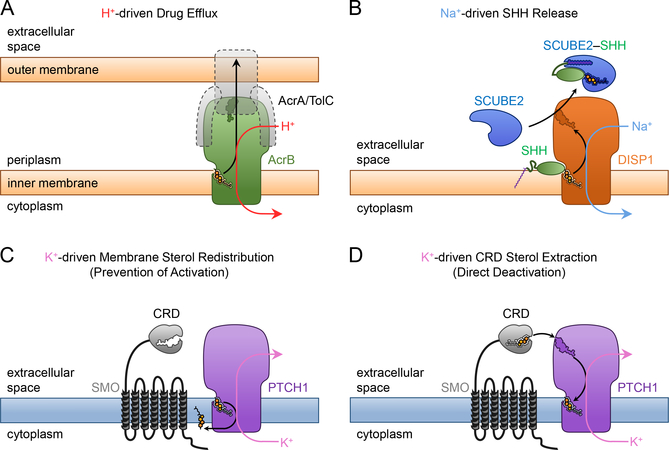 Figure 7.