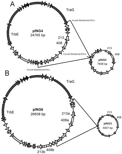 FIG. 4