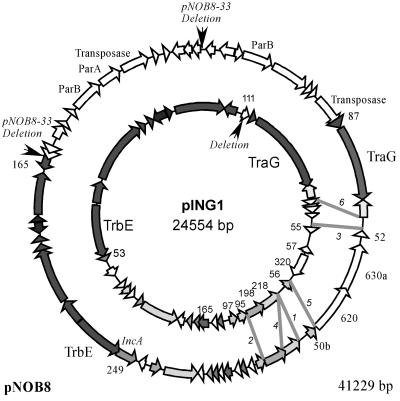 FIG. 5