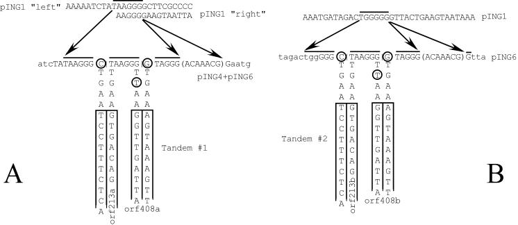 FIG. 6