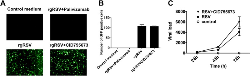 Fig 8