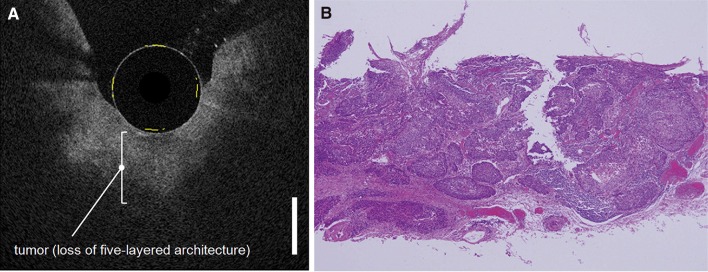 Fig. 5