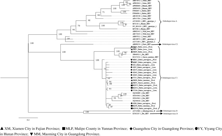 Fig. 2