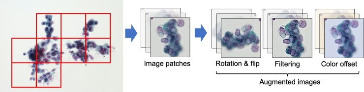 Fig 2