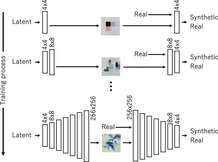 Fig 3