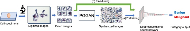 Fig 1