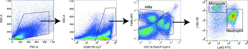 Figure 1—figure supplement 2.