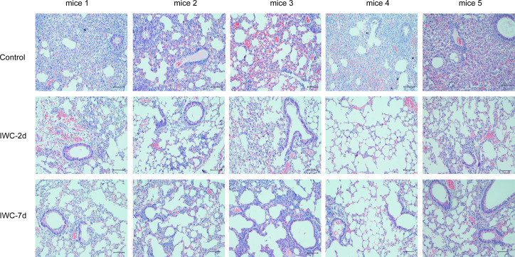 Figure 1—figure supplement 1.