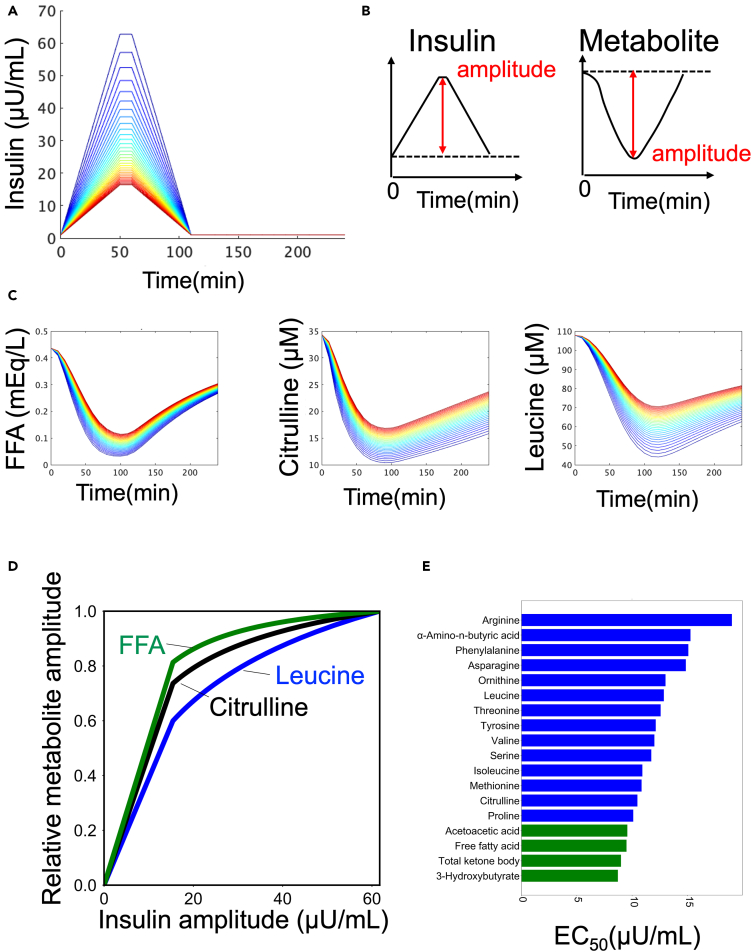 Figure 4