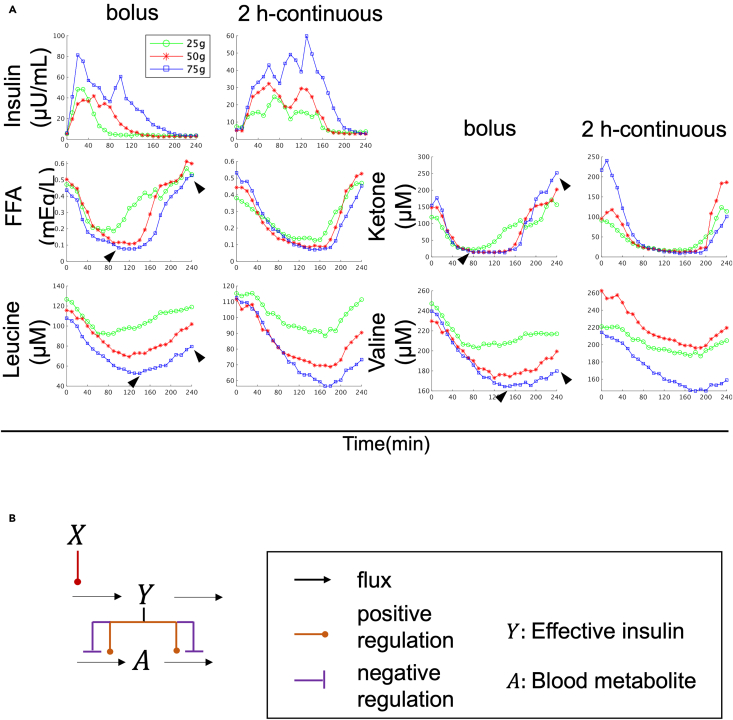 Figure 1