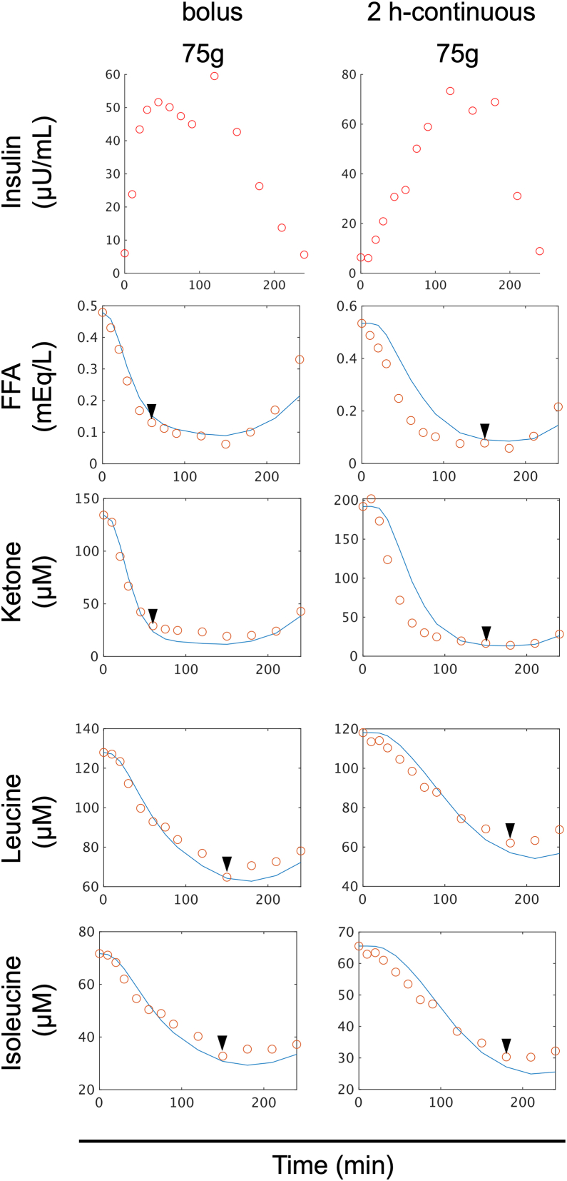 Figure 6