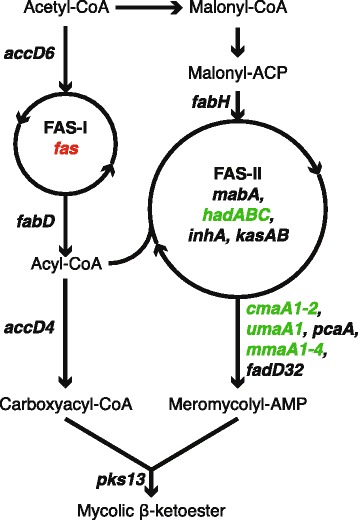 Figure 6