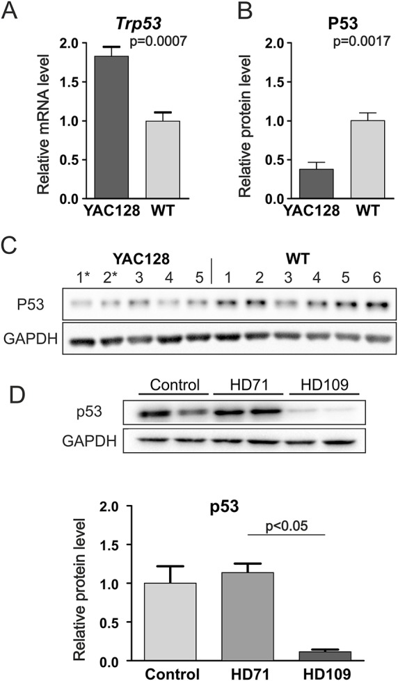 Fig. 8.