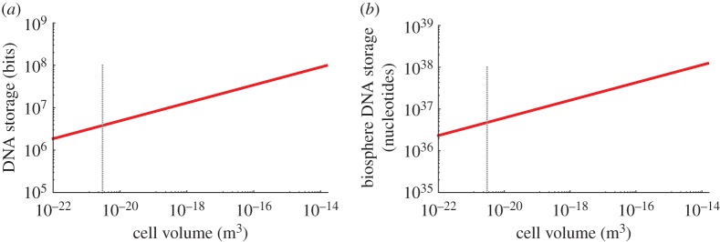 Figure 7.