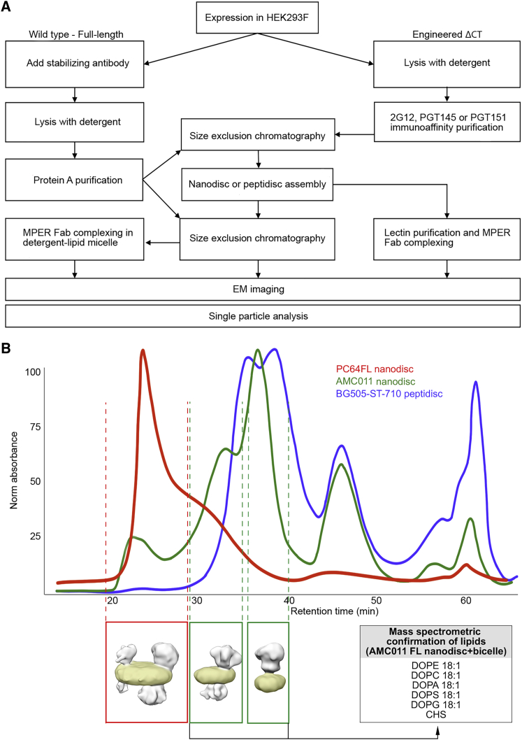 Figure 1