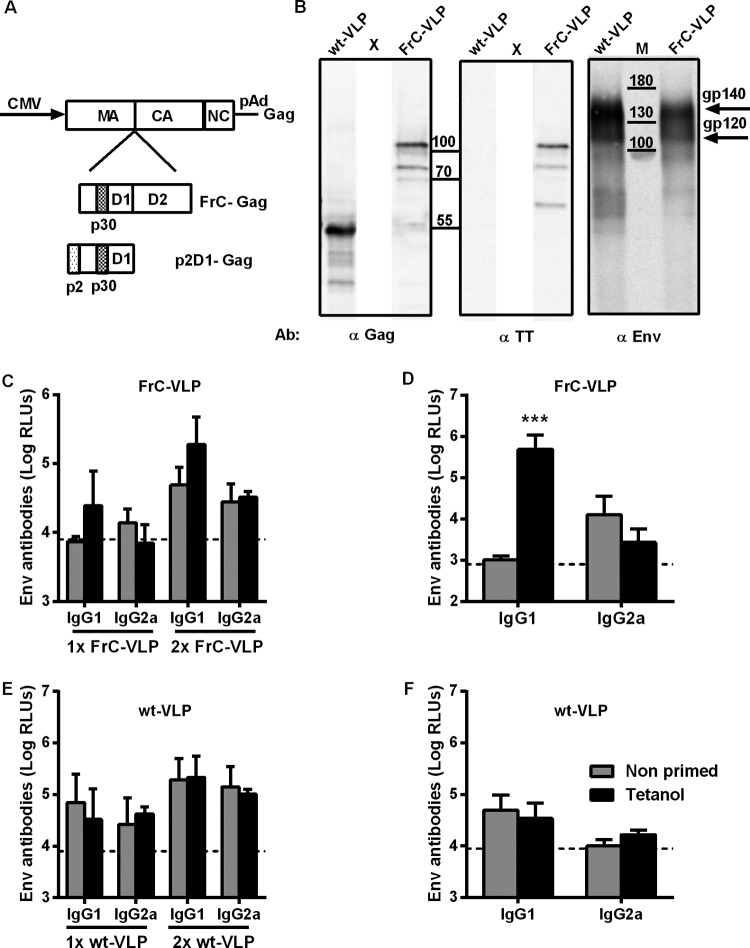 FIG 3