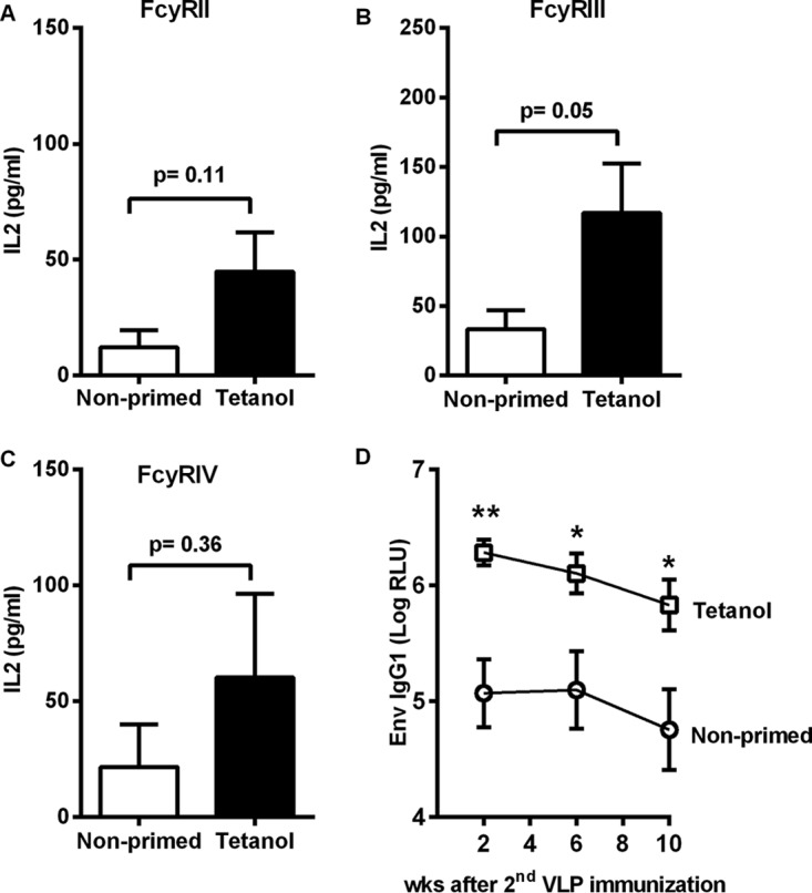 FIG 8