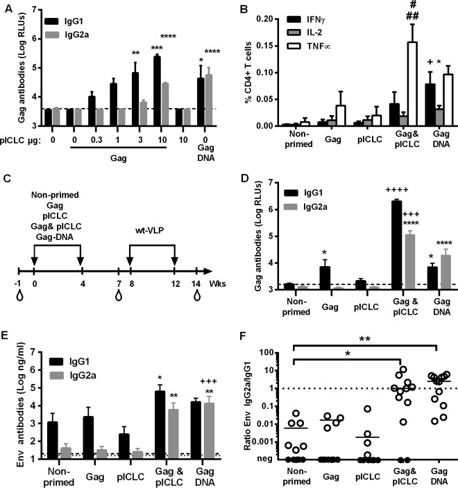 FIG 2