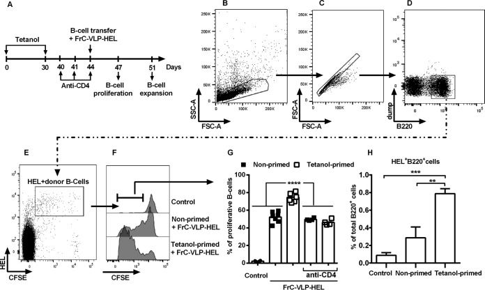 FIG 4