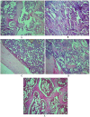 Fig 6