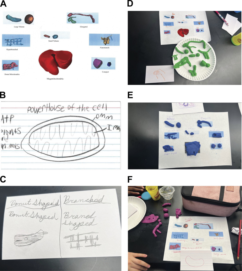 Figure 2.