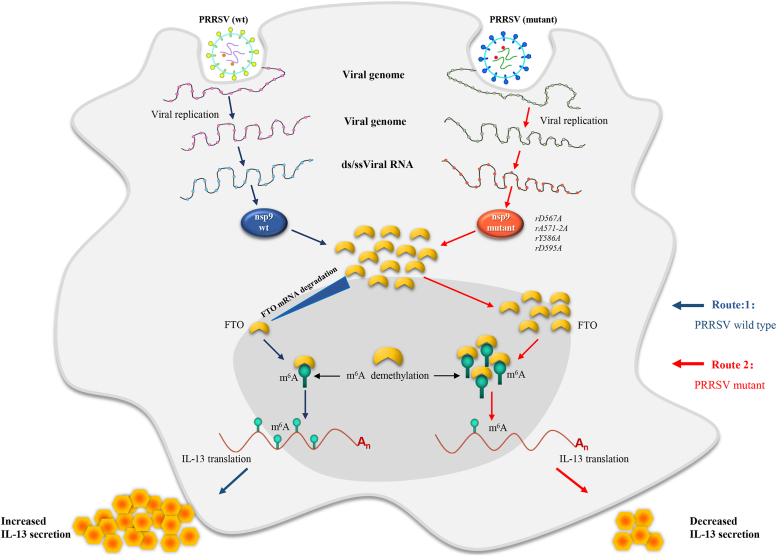 Figure 12