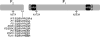 FIG. 1.