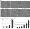 FIG. 3.