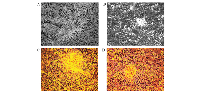 Figure 3.