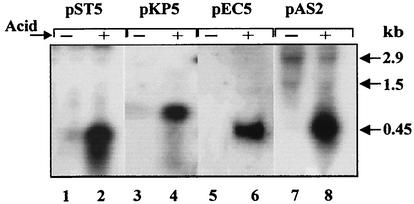 FIG. 7.