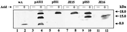 FIG. 5.