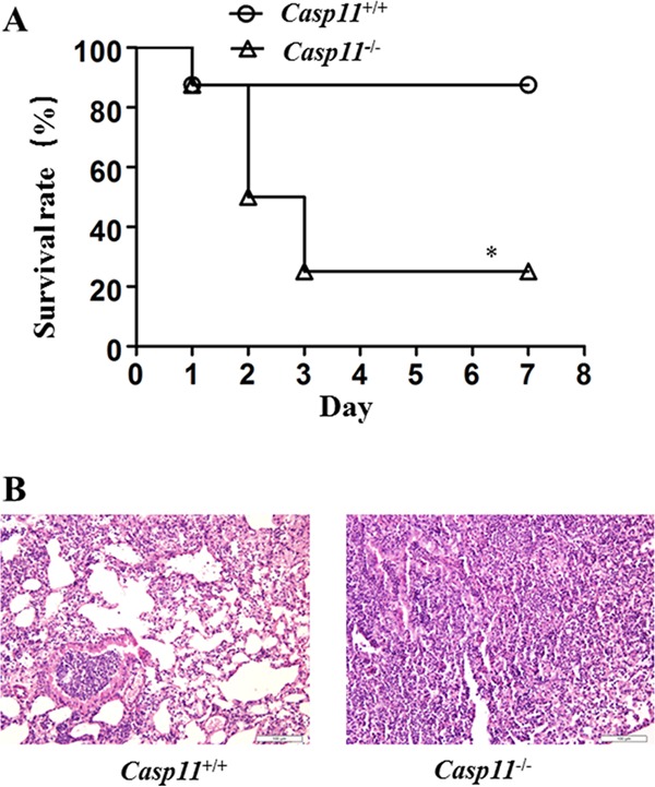 FIG 5