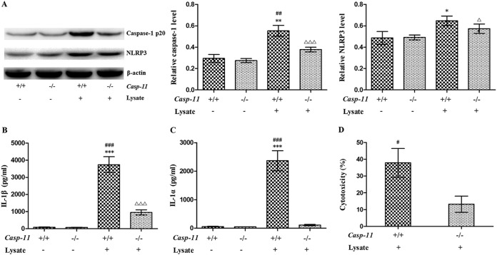 FIG 1