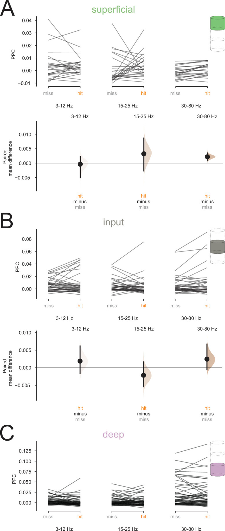 Figure 5—figure supplement 1.