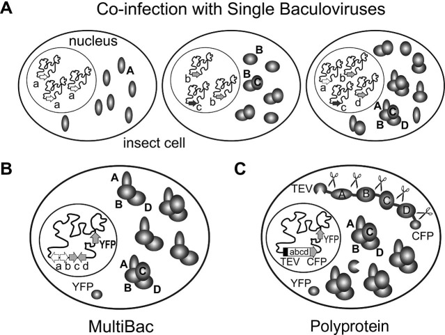 Fig.7