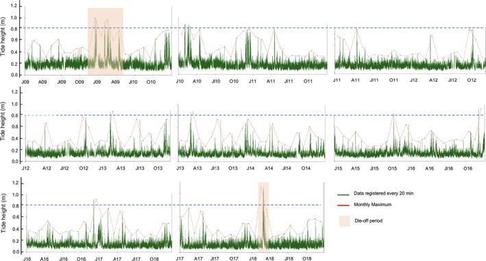 FIGURE 4