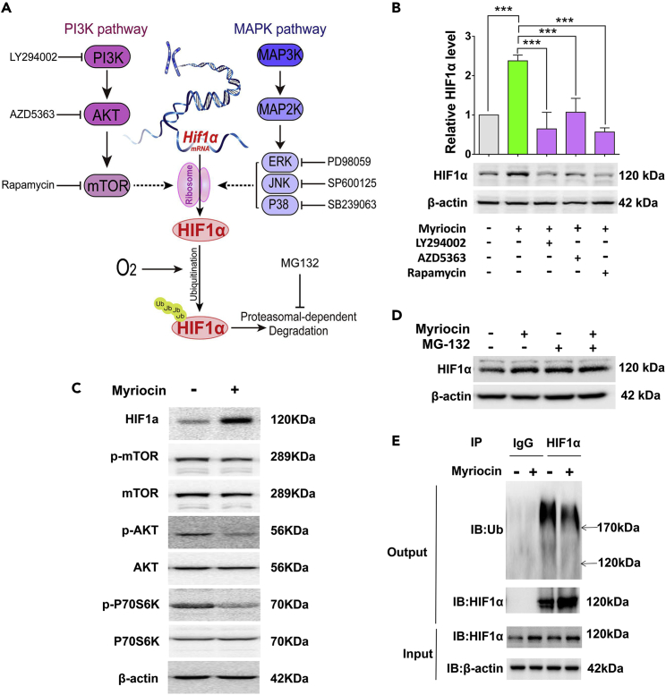 Figure 6