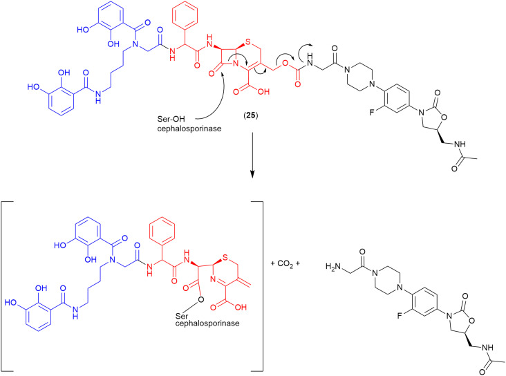 Fig. 13