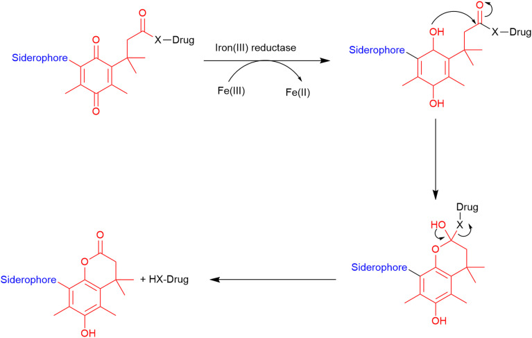 Fig. 12