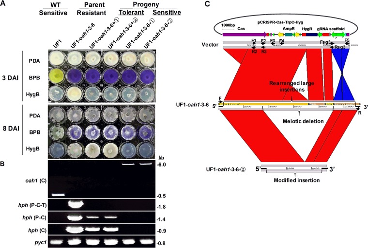 FIG 3 