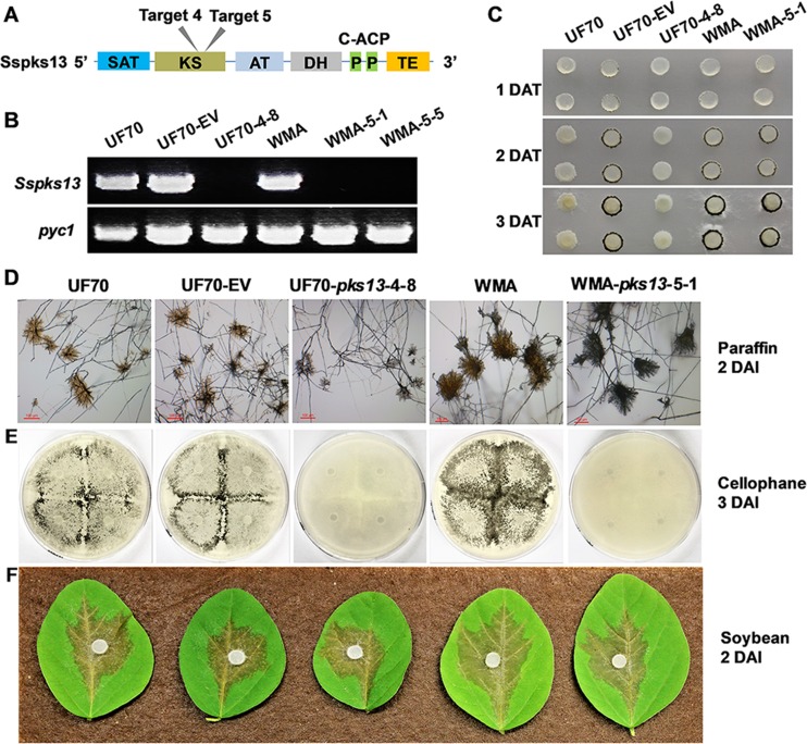 FIG 8 